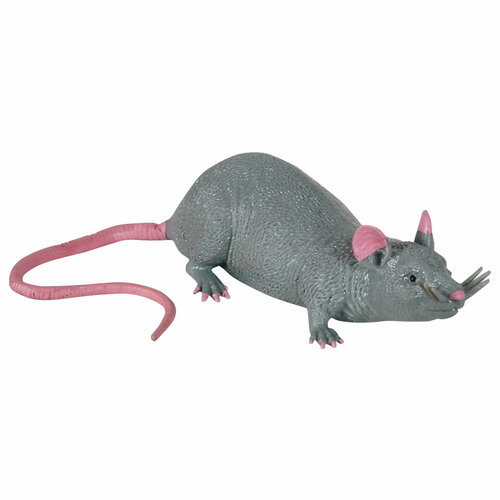 Stretch Rat 3+