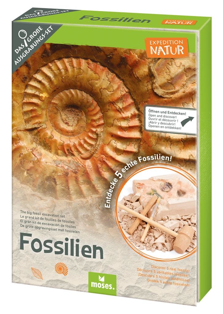 Moses Expeditie Natuur Uithakset Fossielen | Speel je Wijs