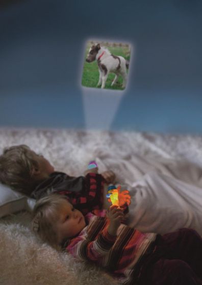 Moses Projector Diashow Paarden| Speel je Wijs