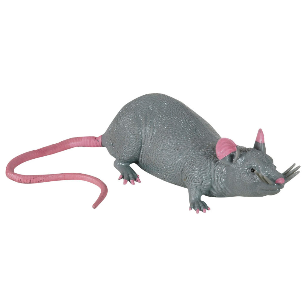 Stretch Rat 3+ | Speel je Wijs