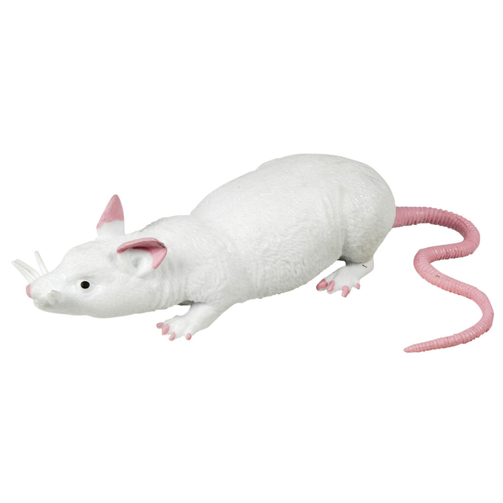 Stretch Rat 3+ | Speel je Wijs