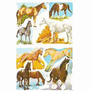 Poëzieplaatjes Paarden - 1 Vel | Speel je Wijs