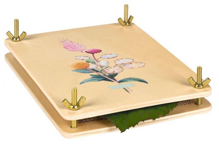 Moses Blad- en bloemenpers | Speel je Wijs