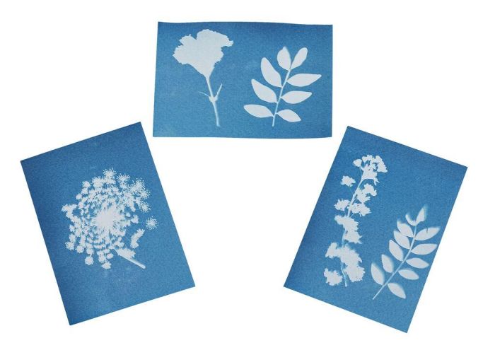 Moses Expeditie natuur bloemenpers met zonnepapier | Speel je Wijs