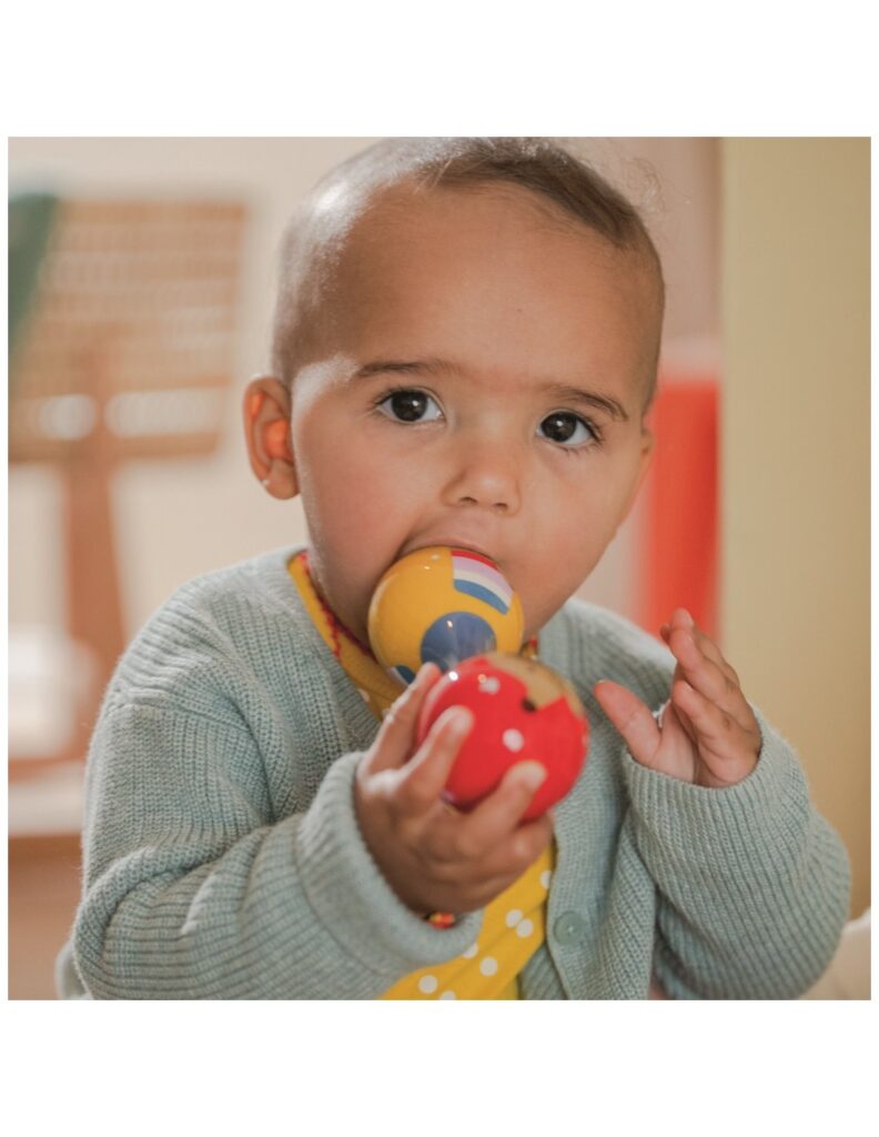 Maracas rammelaar teckel baby charms 2